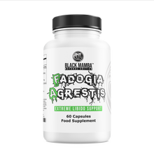 Load image into Gallery viewer, Fadogia Agrestis - New and Improved