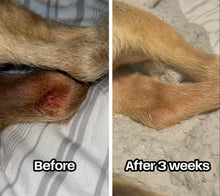 Load image into Gallery viewer, Abletu Stop itching (Dog Supplement)