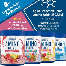 Load image into Gallery viewer, Amino Fuel 91g Sport Asylum Nutrition