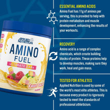 Load image into Gallery viewer, Amino Fuel 91g Sport Asylum Nutrition