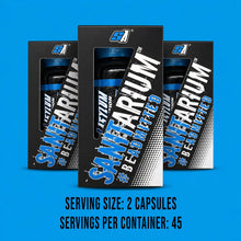 Load image into Gallery viewer, Sanitarium™ Sport Asylum Nutrition